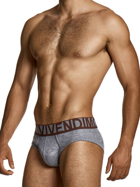 Man wearing a gray Underwear with a brown waistband on a white background