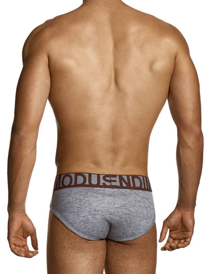 Man wearing a gray underwear with 'Modus Vivendi' brand logo on a white background