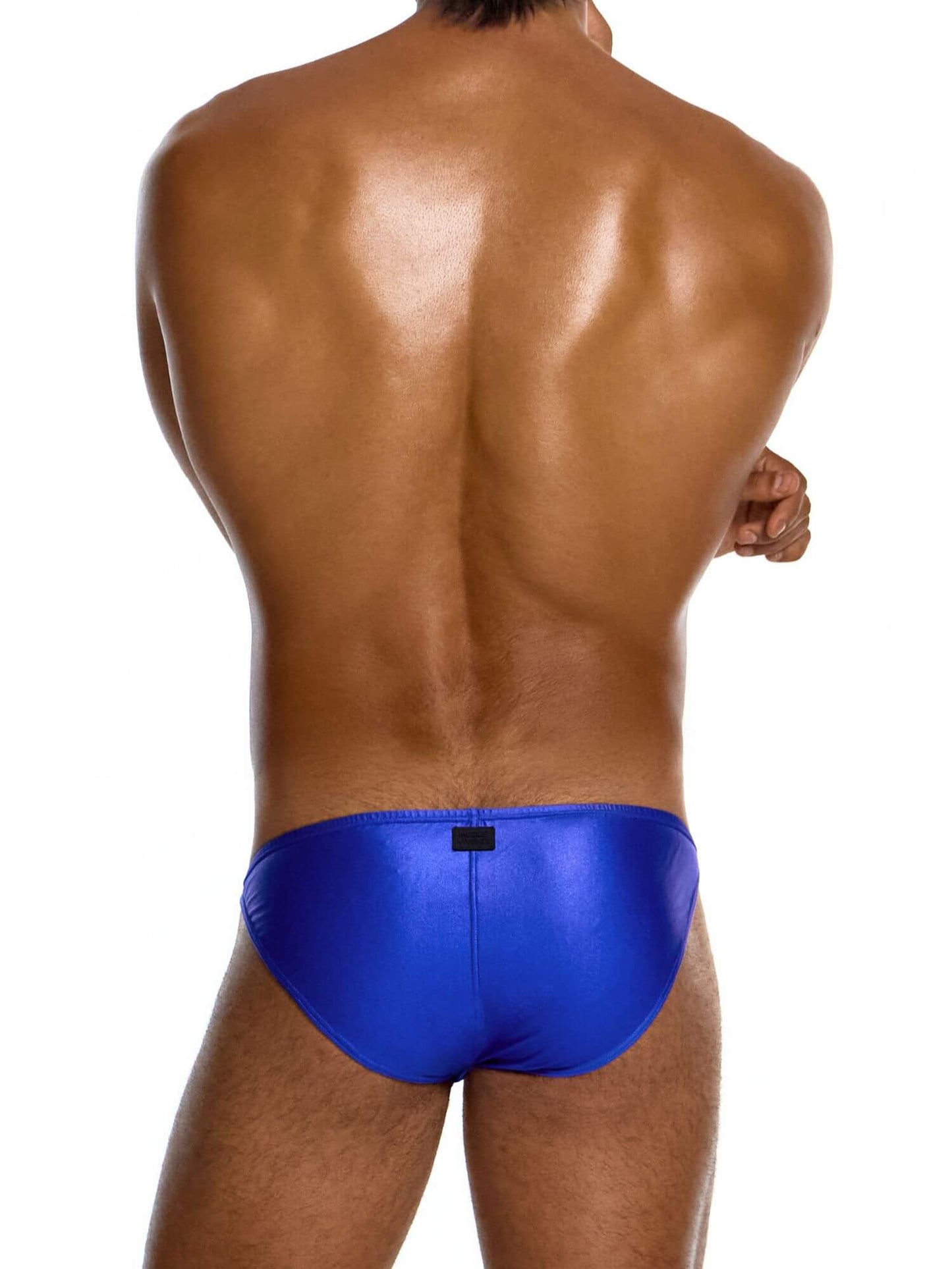 modus vivendi blue prince albert swimming brief