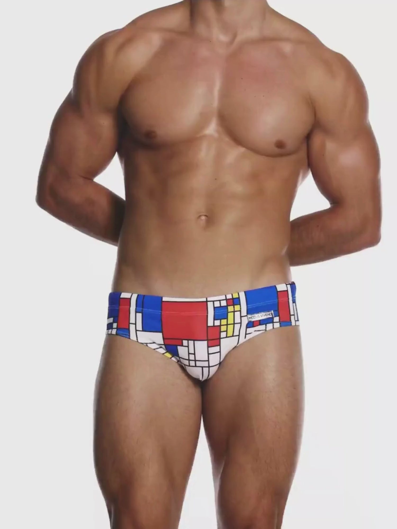 Modus Vivendi Mondrian Swim Brief in a video