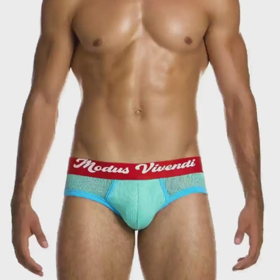 Modus Vivendi Retro Brief Video