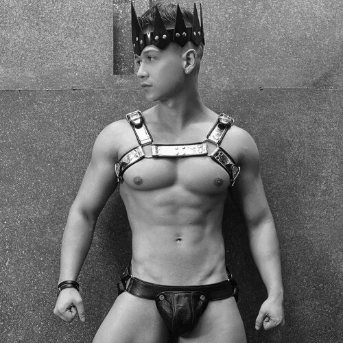 Mens Chest + Body Harnesses