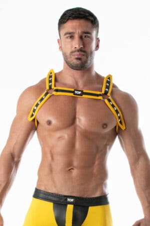 TOF PARIS Bulldog Neoprene Harness with Glowing UV Trims