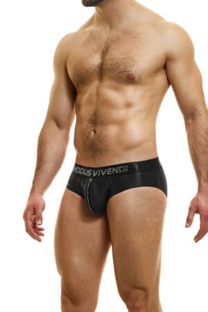 Modus Vivendi Flashy Brief