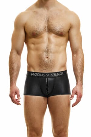 Modus Vivendi Men's Flashy Boxer