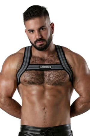 Locker Gear Backroom Chest Harness