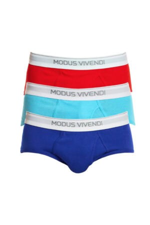 Modus Vivendi Men's 3-Pack Staple Fly Briefs