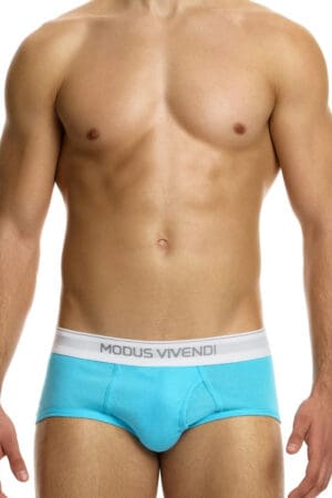 Modus Vivendi Men's Staple Fly Front Cotton Brief