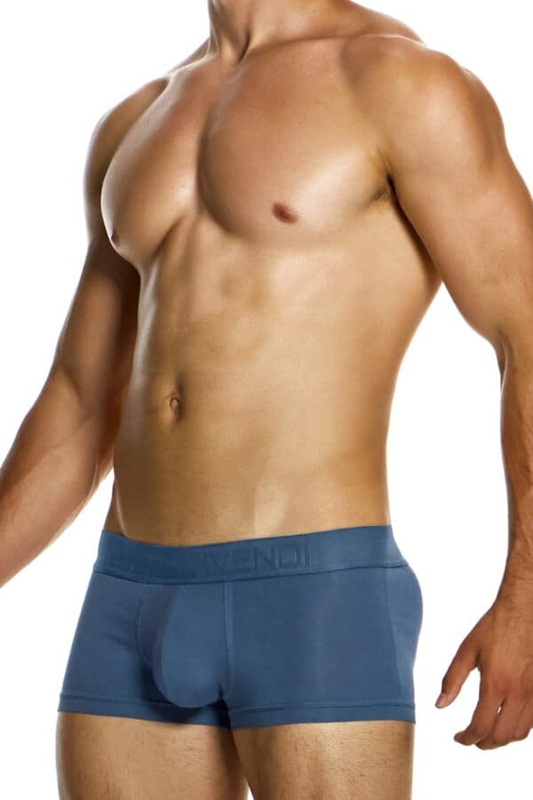 Modus Vivendi Mens Bamboo Boxer