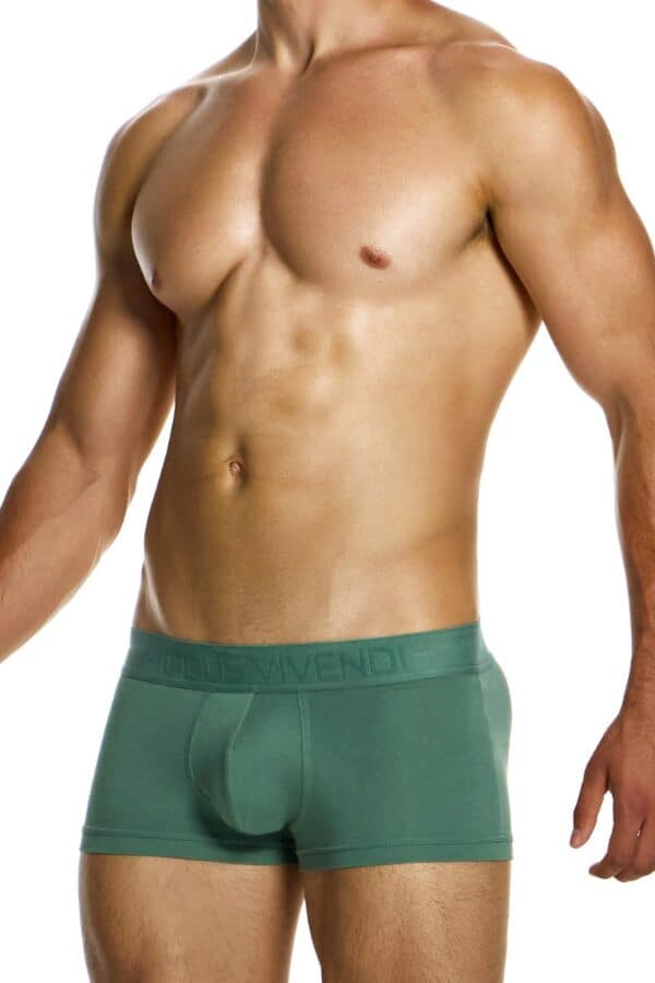 Modus Vivendi Men's Eco-Friendly Bamboo Boxer