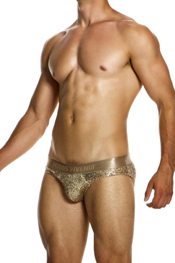 Modus Vivendi Harem Gold Sequin Brief